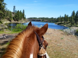 cowboy looking at fishlake