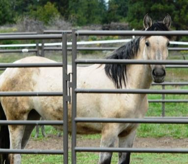 beautiful watching may 09